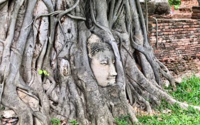 Road Trip Thaïlandais : Ayutthaya
